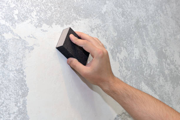 Best Black Mold Removal  in Montgomery, AL