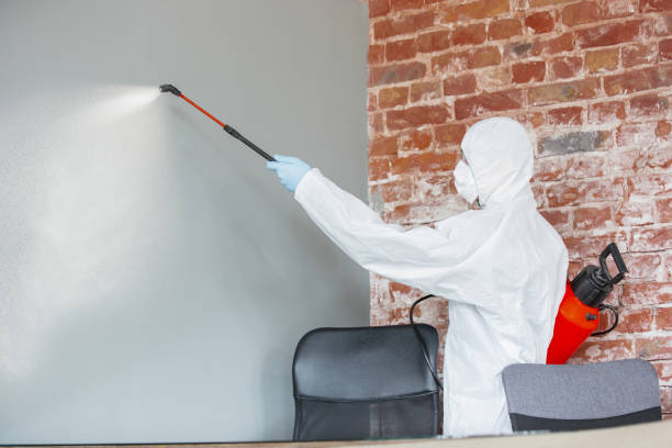 Best Commercial Mold Inspection  in Montgomery, AL