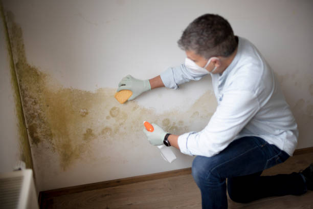 Dehumidification Services in Montgomery, AL