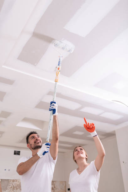 Best Mold Odor Removal Services  in Montgomery, AL
